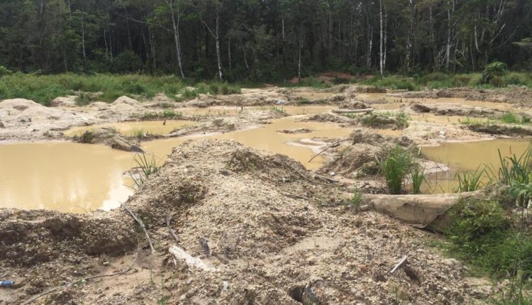 WhatsApp Image 2019-09-03 at 11.21.31(1)