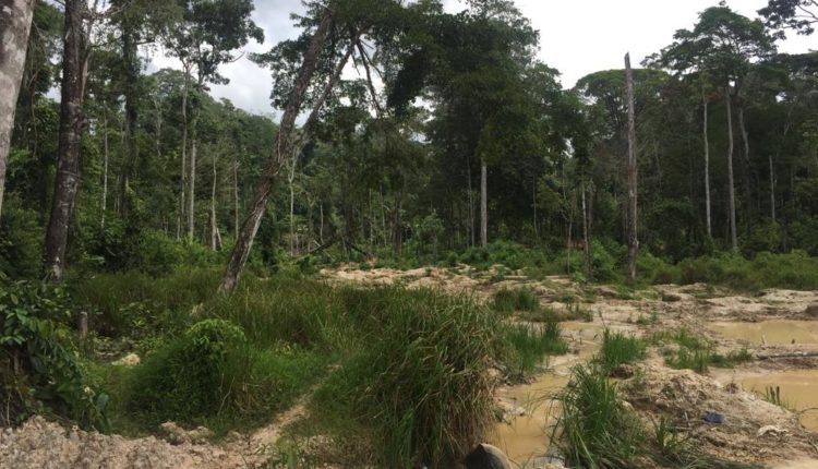 WhatsApp Image 2019-09-03 at 11.21.31(2)