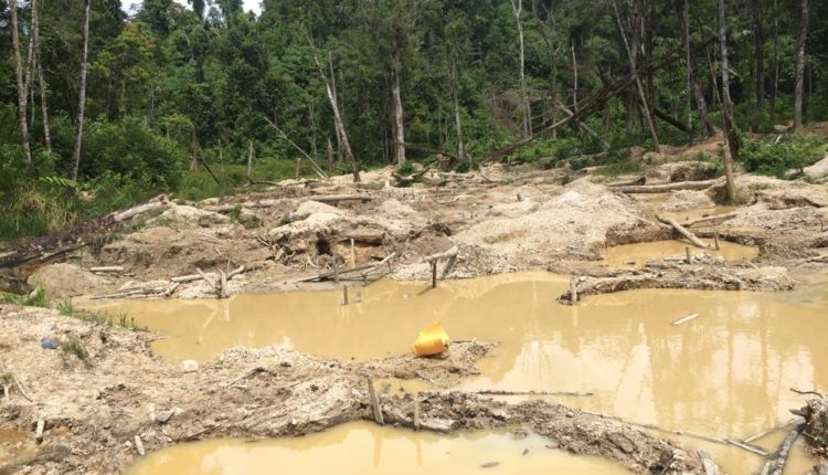 WhatsApp Image 2019-09-03 at 11.21.32(3)