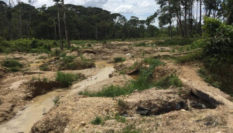 WhatsApp Image 2019-09-03 at 11.21.32(4)