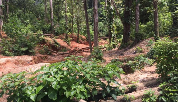 WhatsApp Image 2019-09-03 at 11.21.33