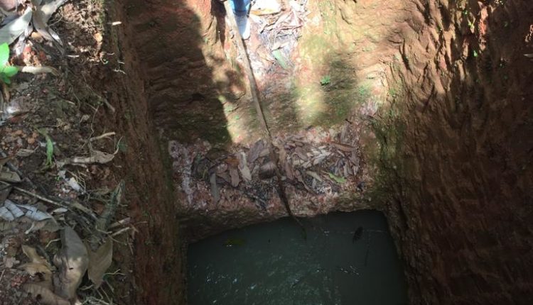 WhatsApp Image 2019-09-03 at 11.21.33