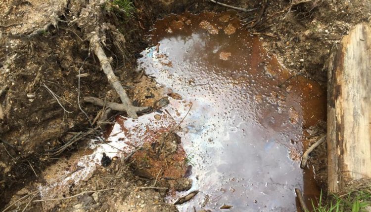 WhatsApp Image 2019-09-03 at 11.21.33(1)