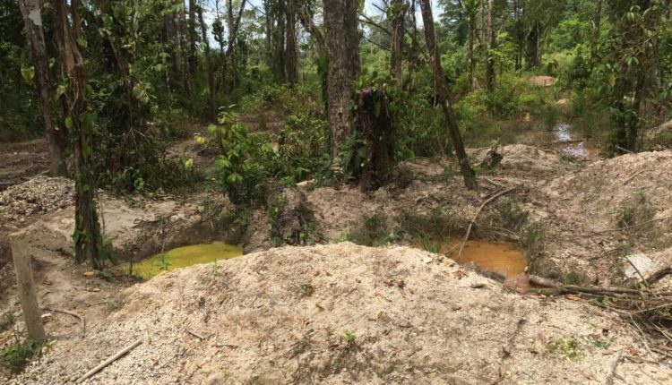 WhatsApp Image 2019-09-03 at 11.21.33(3)