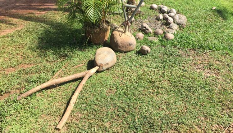 WhatsApp Image 2019-09-03 at 11.21.33(4)